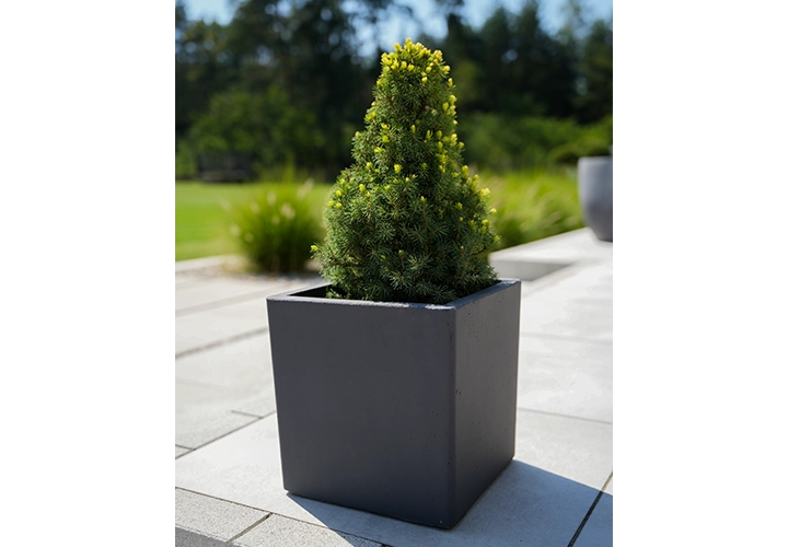 donica betonowa do ogrodu