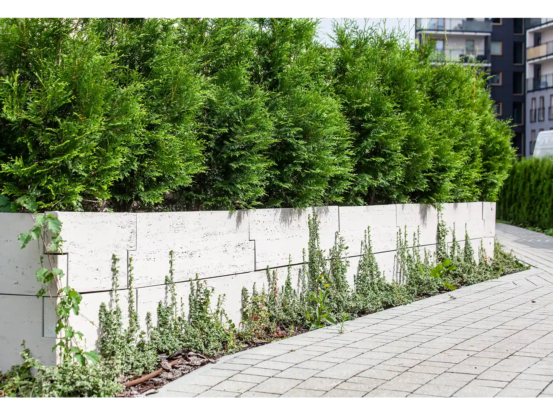 grządka podwyższona