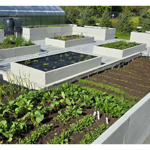 grządka podwyższona