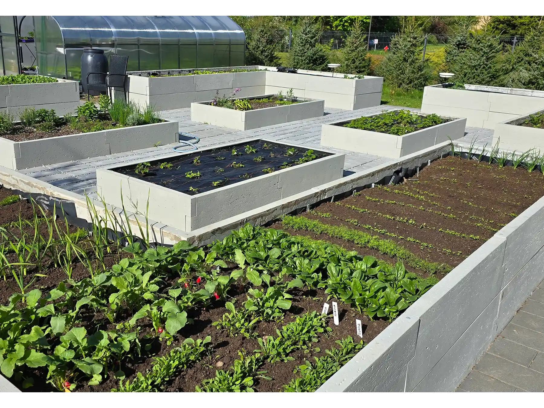 grządka podwyższona