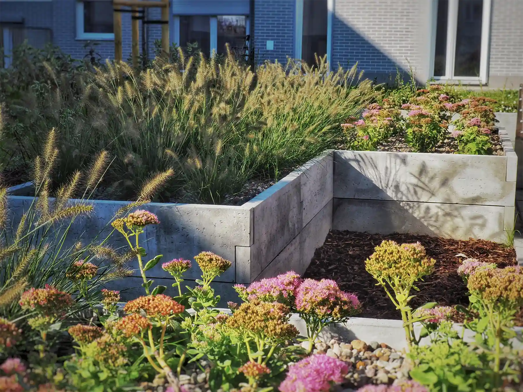 grzadki na podwyzszeniu w miescie