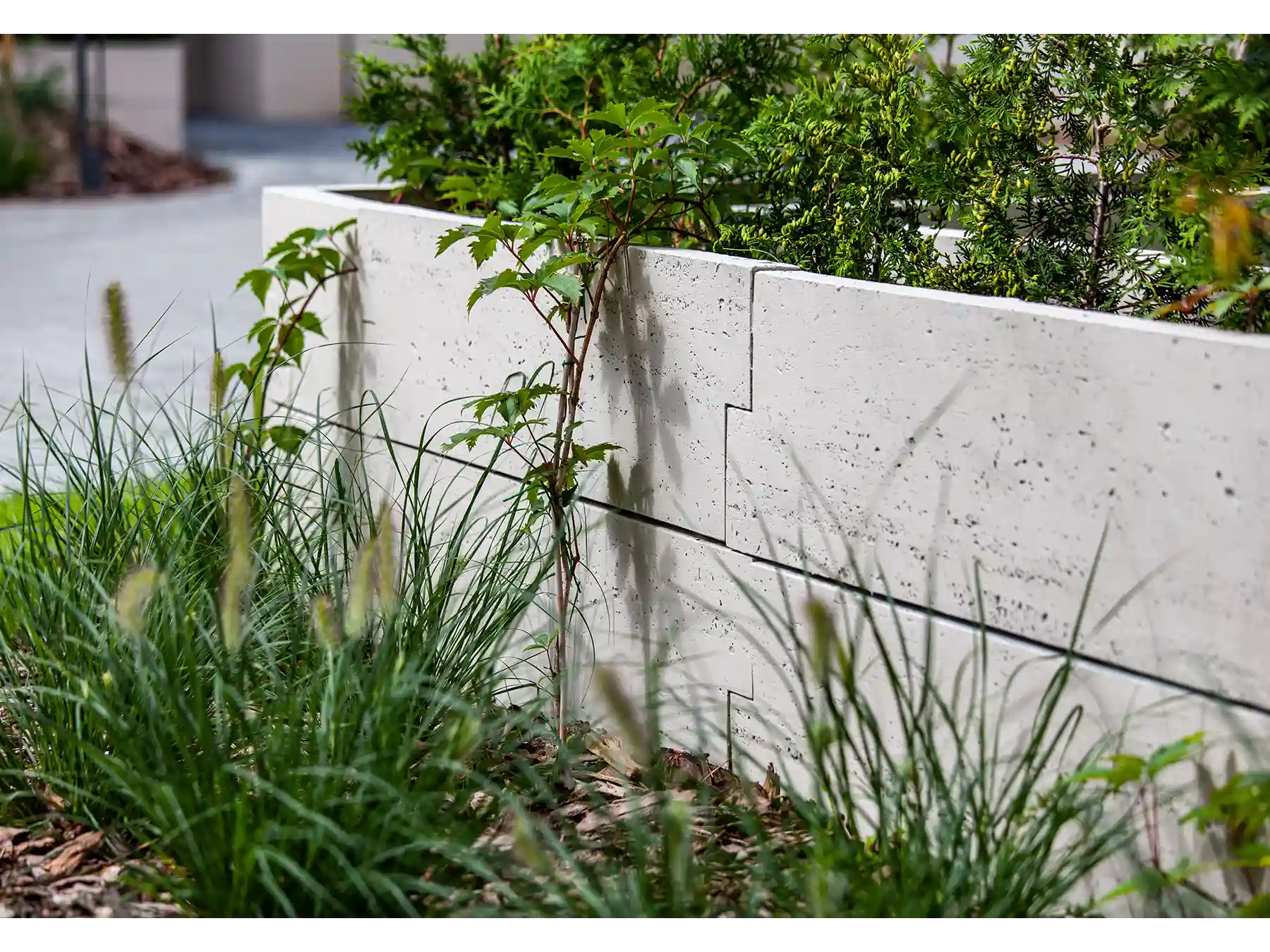 grządki podwyzszane