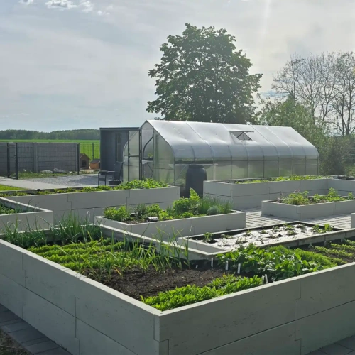 grządki podwyższone