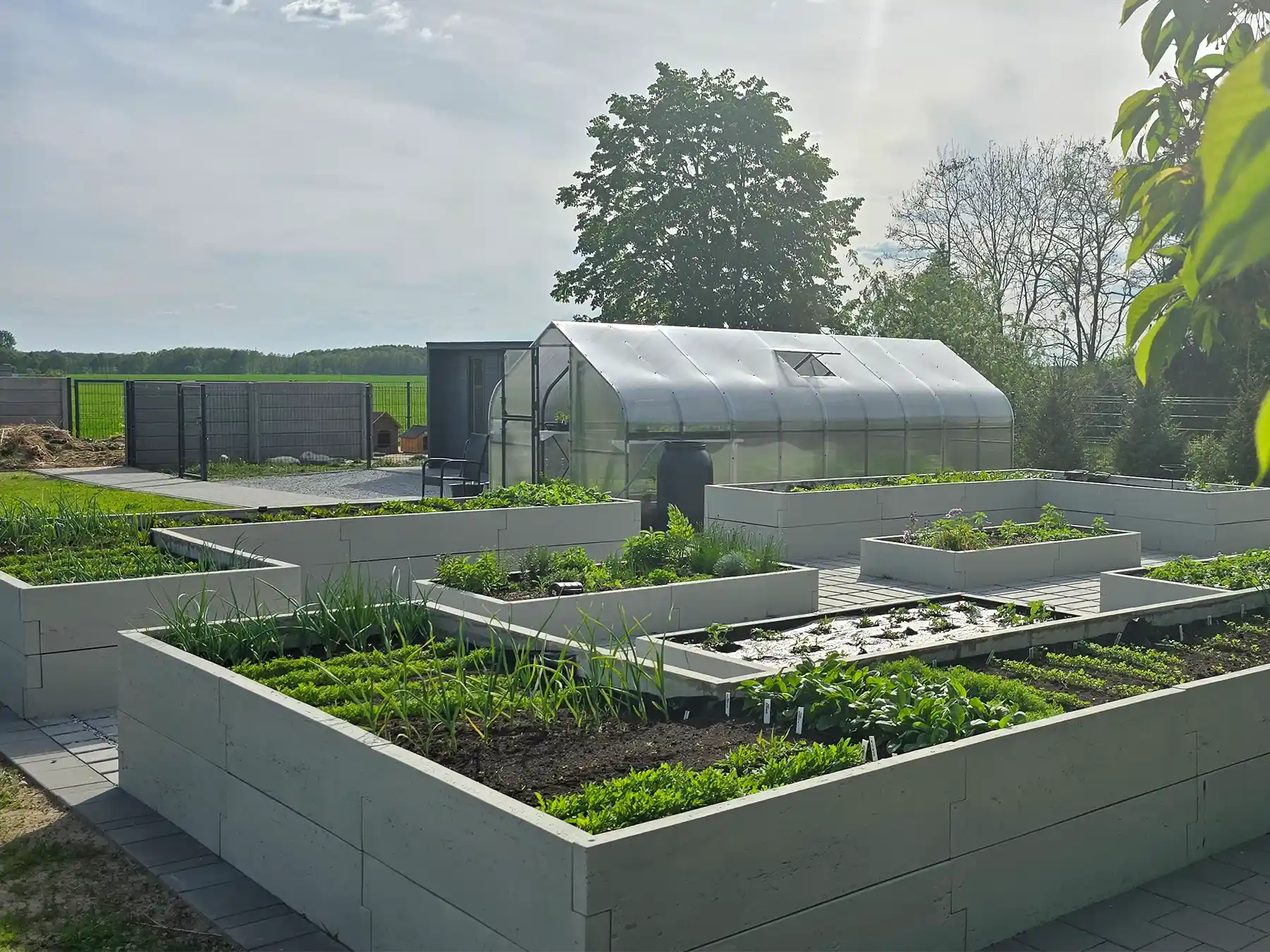 grządki podwyższone