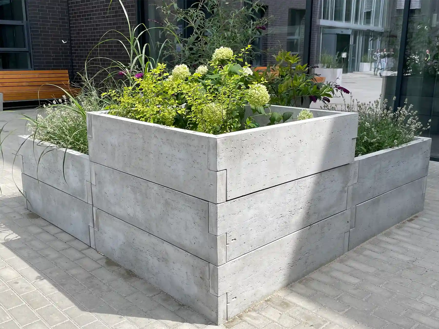 nowoczesne warzywniki