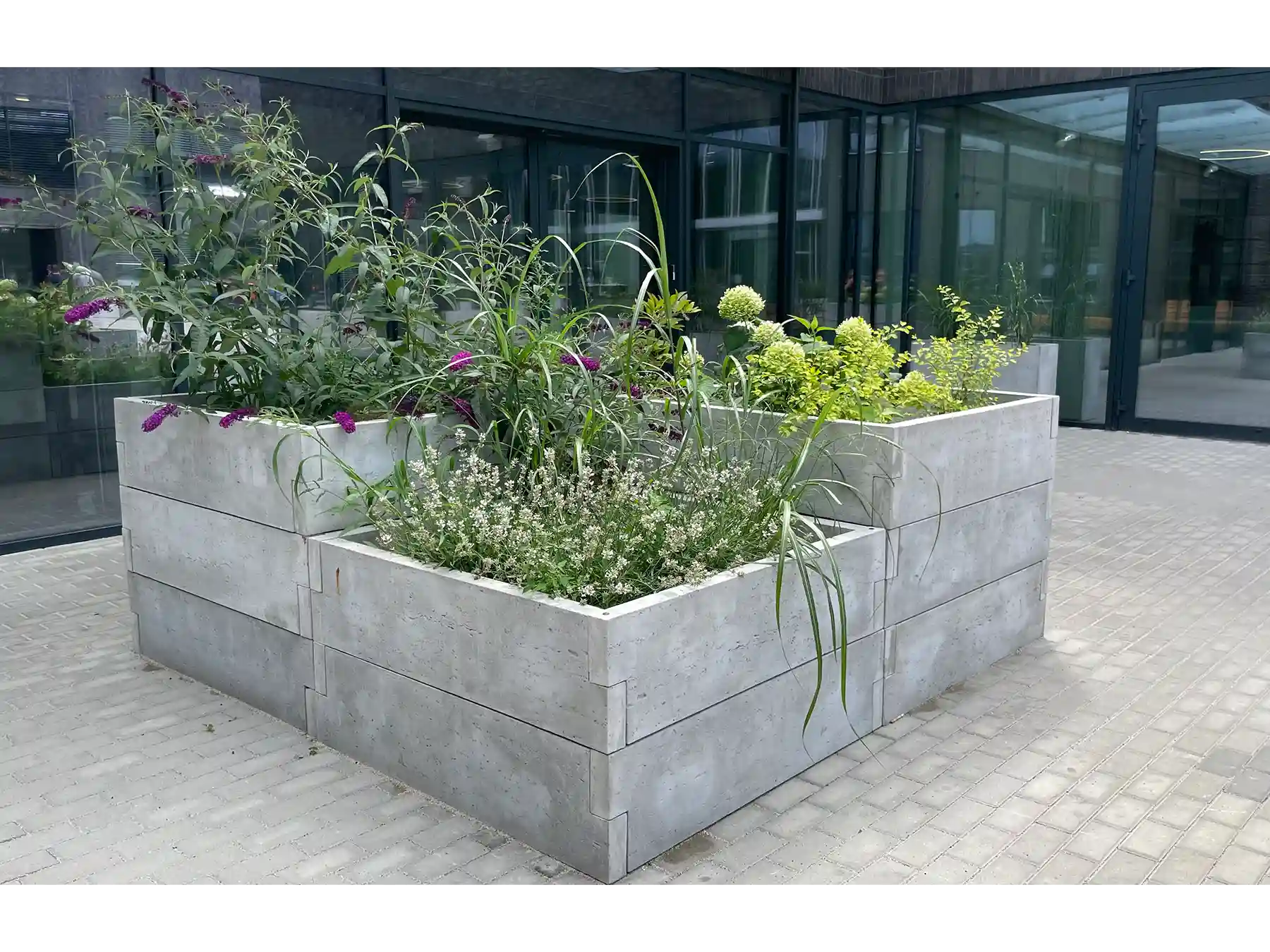 nowoczesny warzywnik