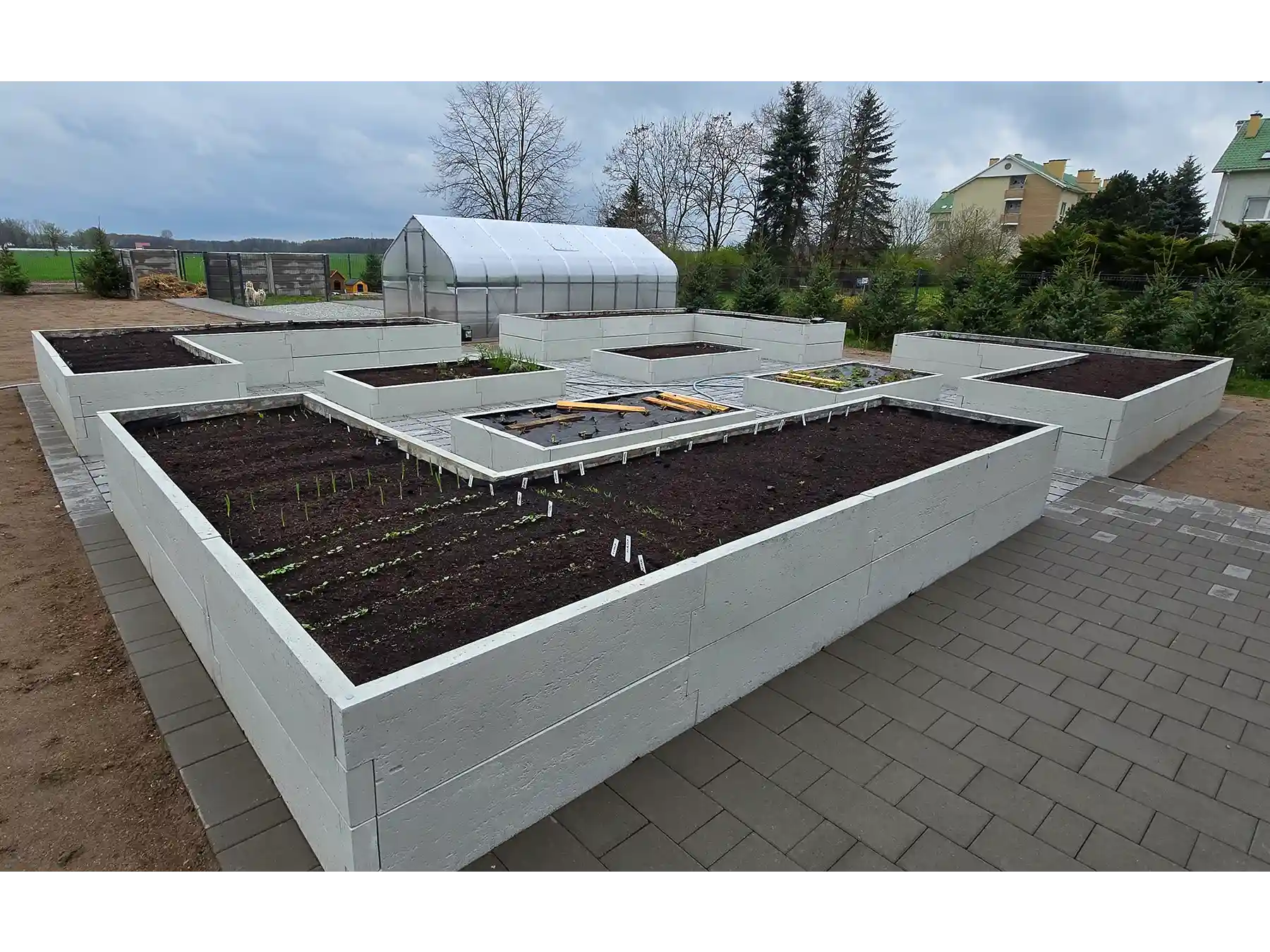 ogródek warzywny w skrzyniach