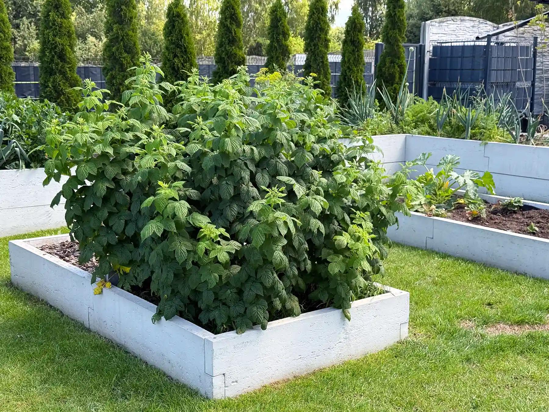 podniesione grządki ogrodowe