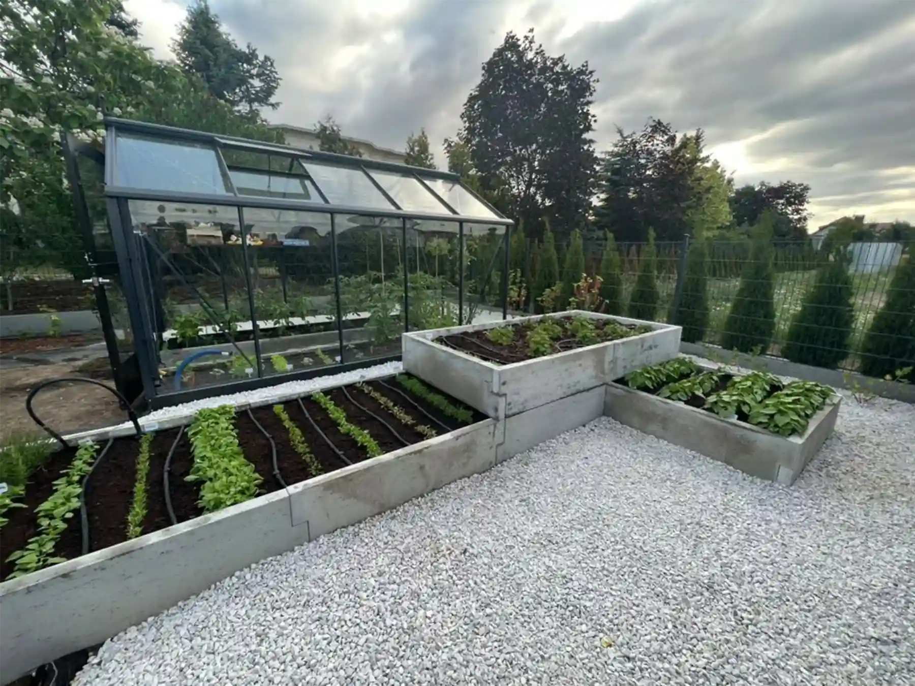 podwyższone grządki w szkarni