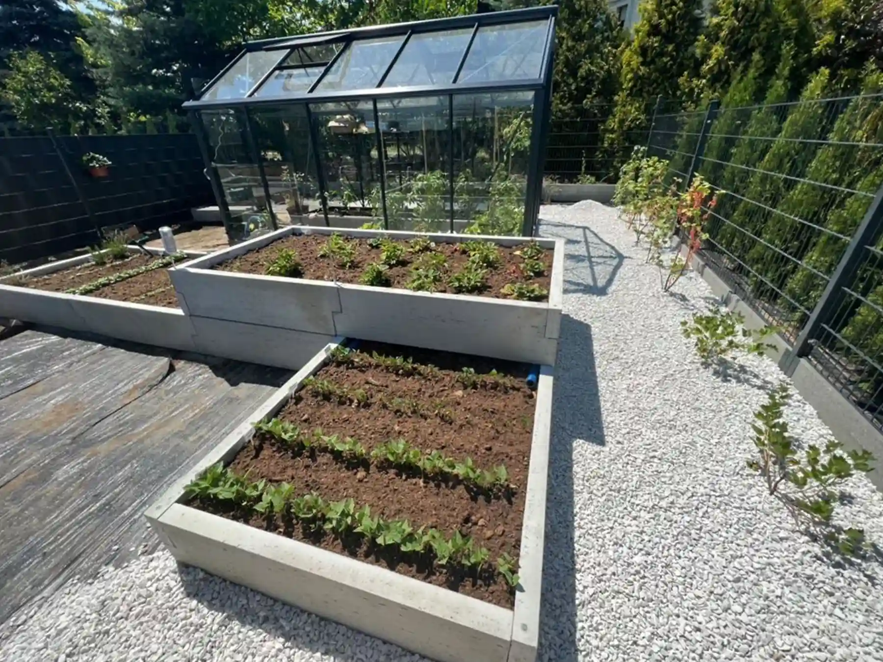 podwyższona grządka przy szklarni