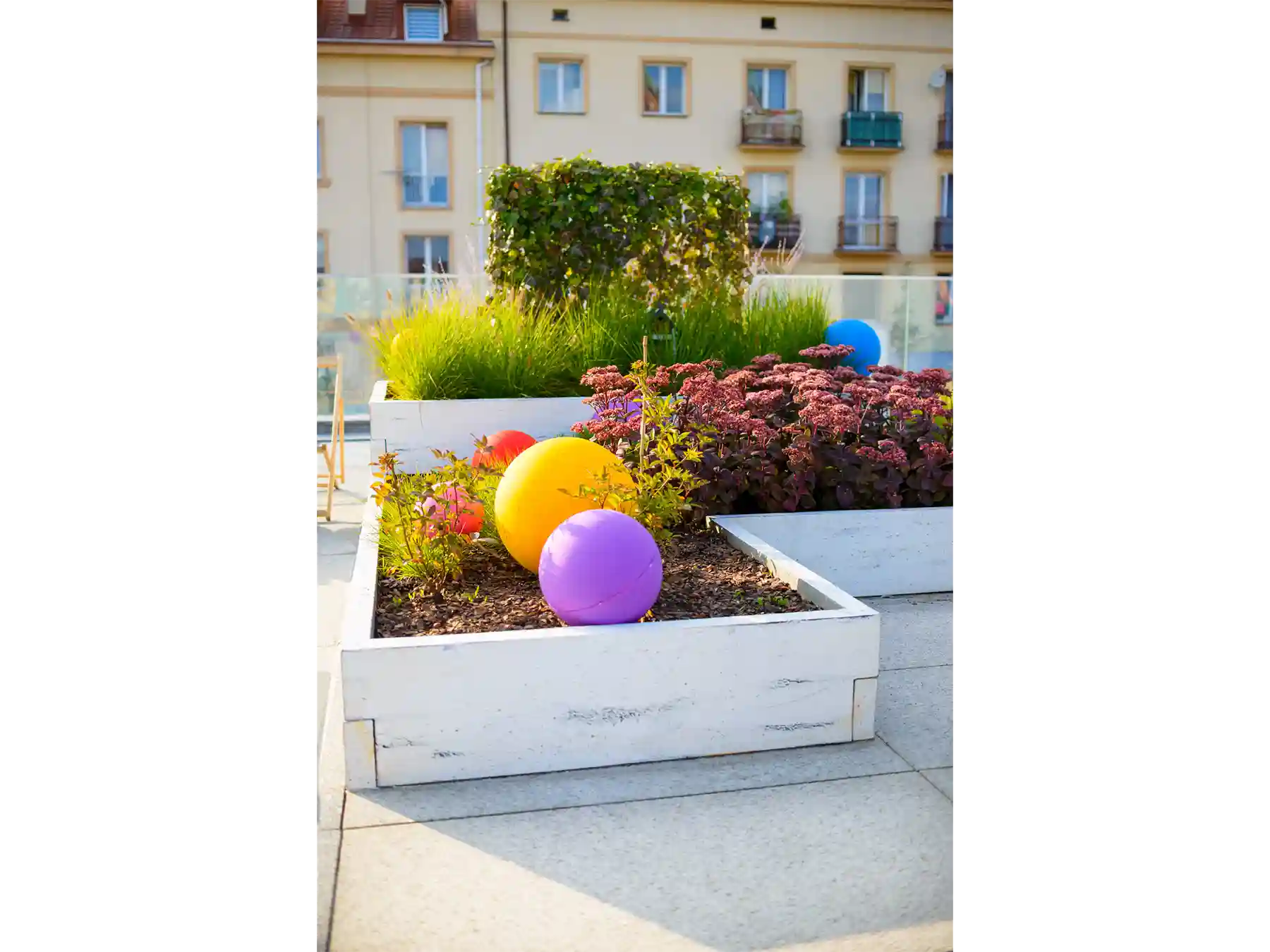 podwyzszone grządki w miescie