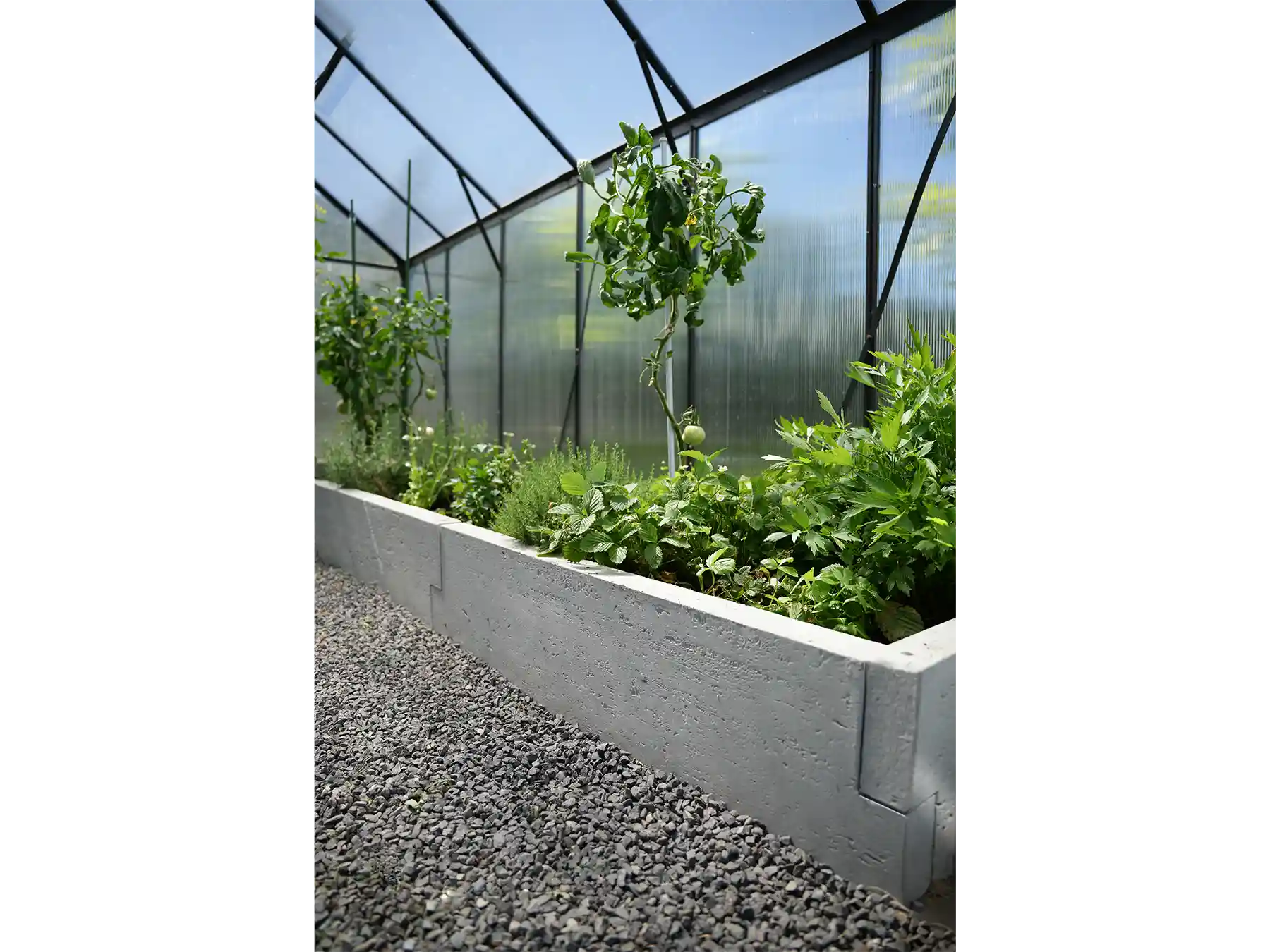 podwyższone grzadki w szklarni