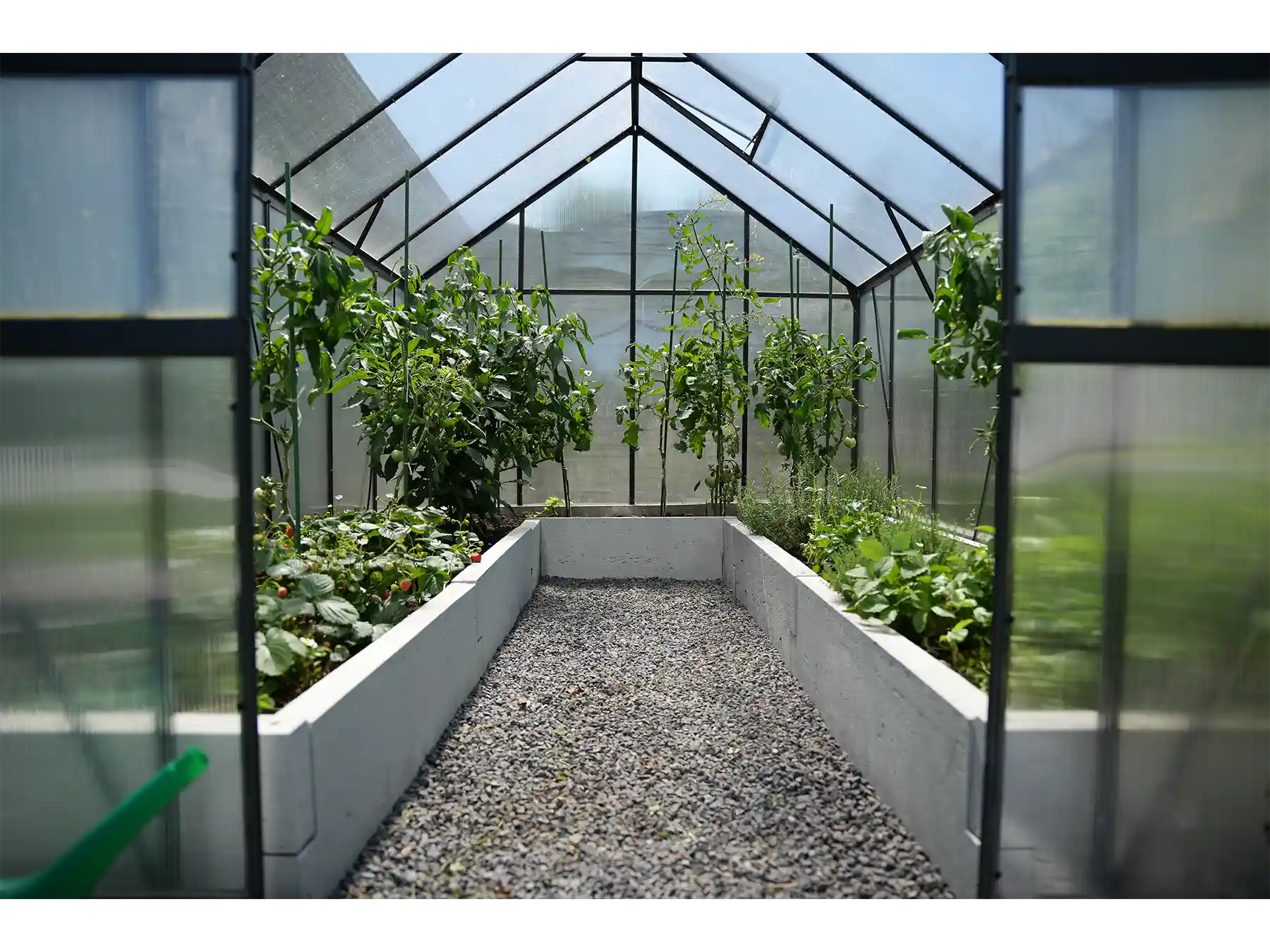 skrzynie warzywne do szklarni