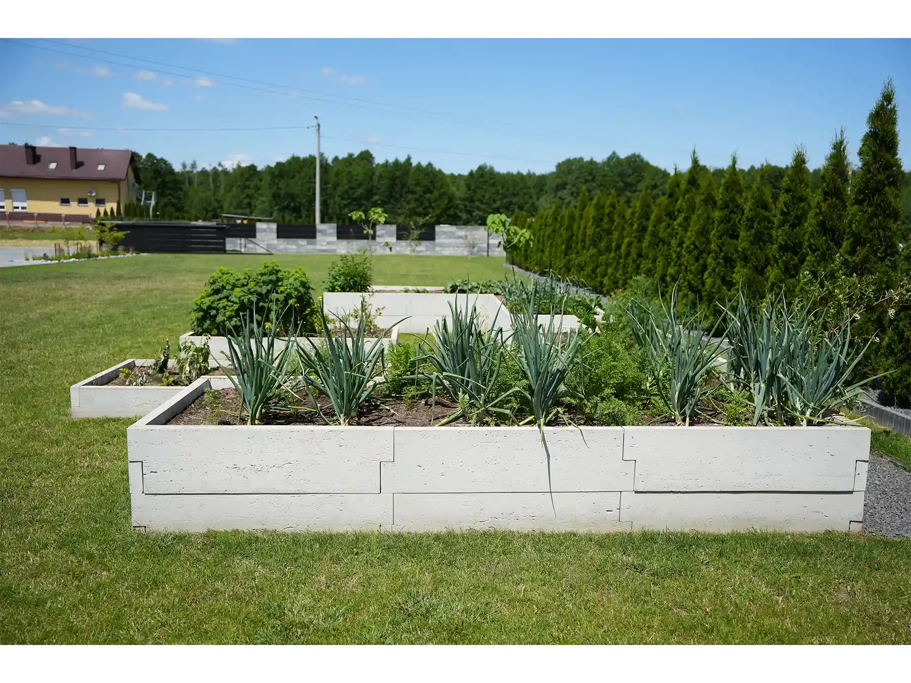 warzywnik w skrzyniach