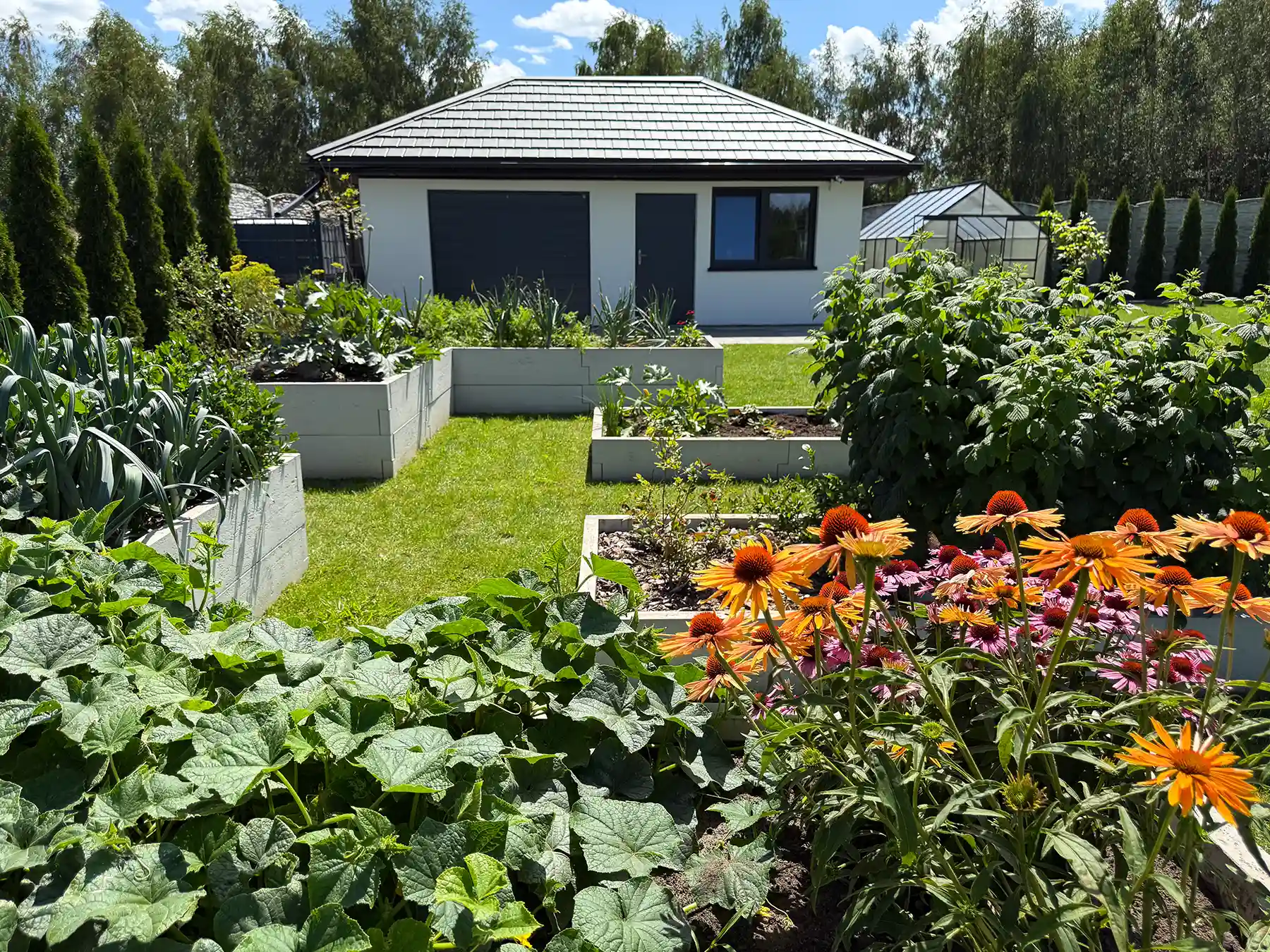 warzywnik w skrzyniach