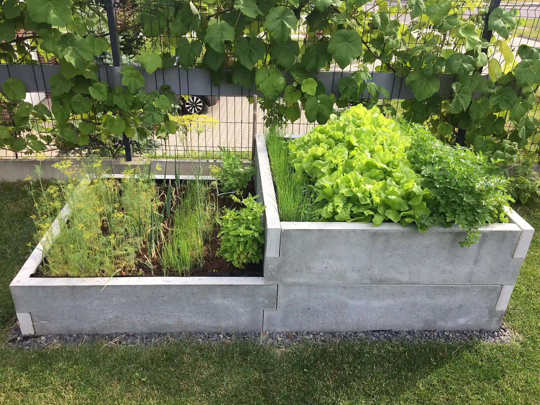 warzywniki betonowe trawertyn