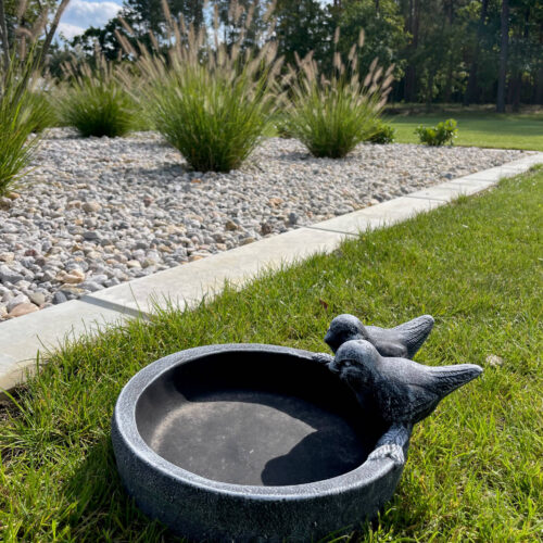 poidełko dla ptaków