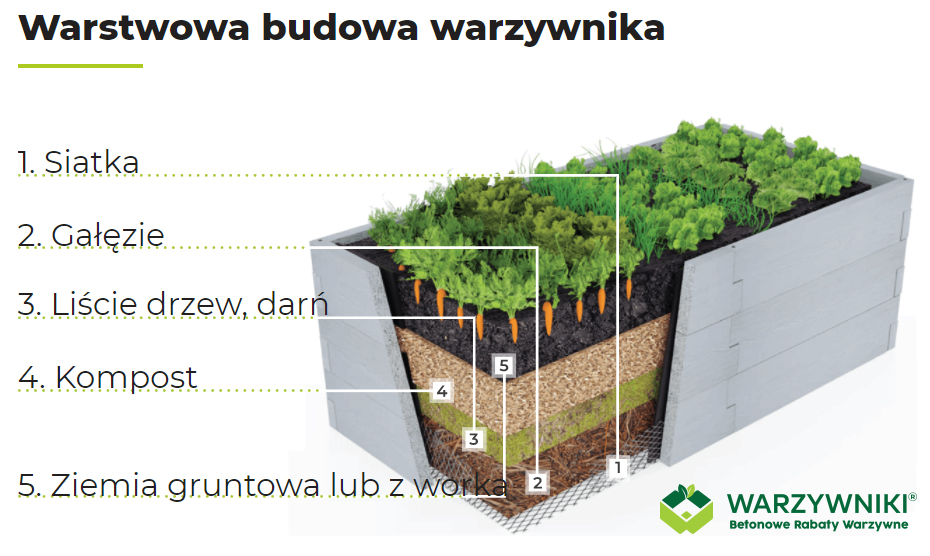 warstwowa budowa warzywnika