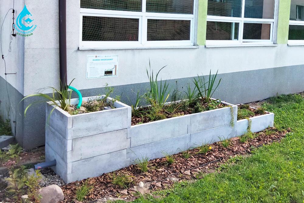 realizacja przykładowego ogrodu deszczowego w pojemniku