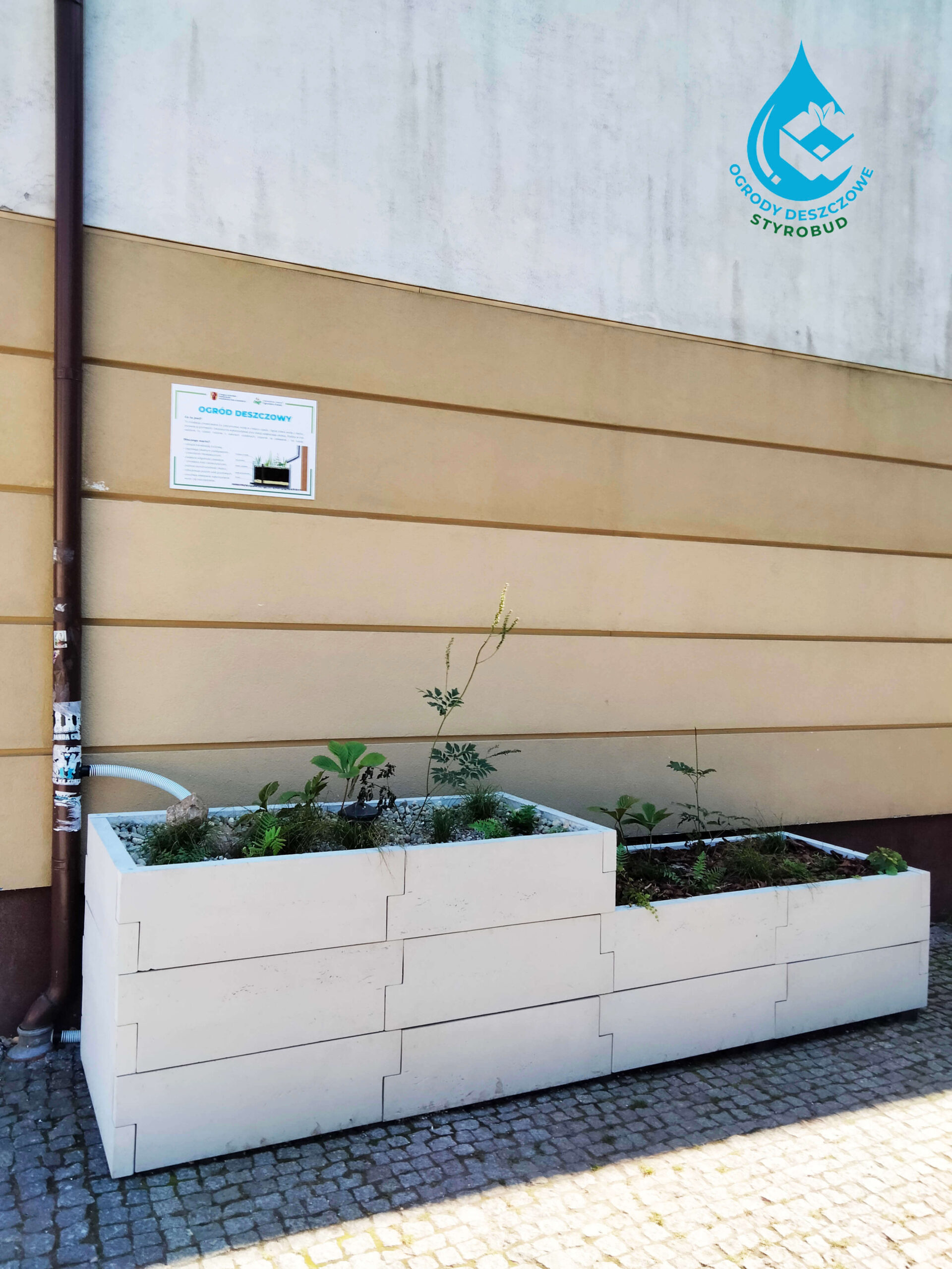 realizacja ogrodu deszczowego w mieście