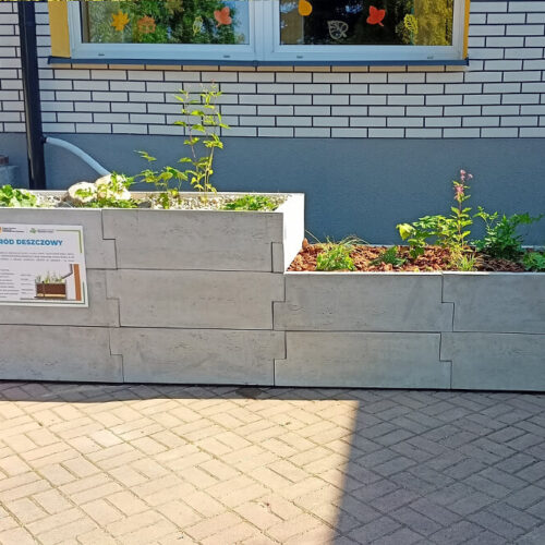 Ogród deszczowy w skrzyni przy budynku