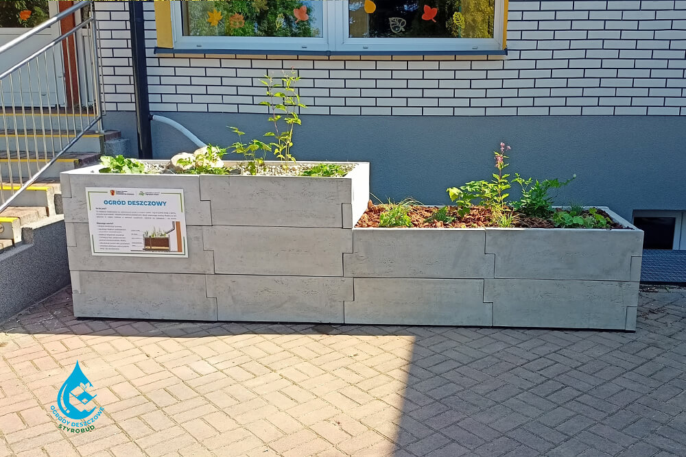 Ogród deszczowy w skrzyni przy budynku