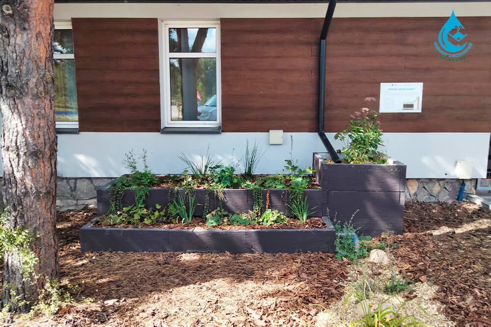 ogród deszczowy w pojemniku betonowym