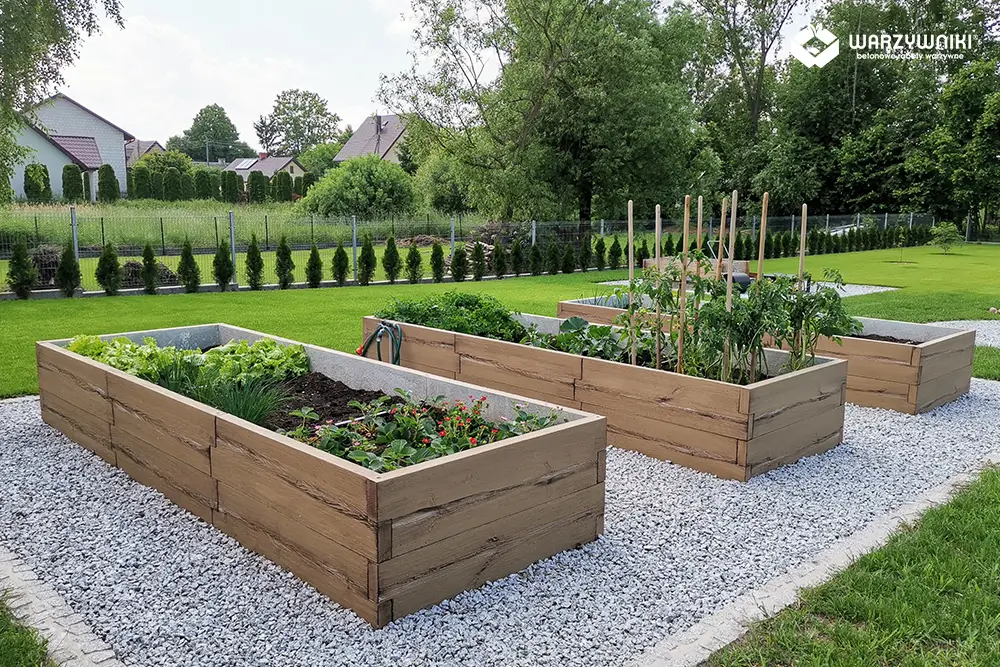 uprawa w betonowym warzywniku